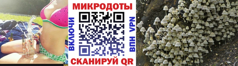 купить наркотики сайты ссылка на мегу сайт мориарти какой сайт Благодарный Псилоцибиновые грибы мицелий