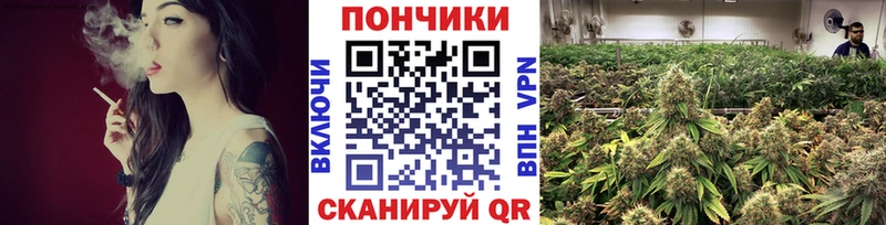 наркота  Благодарный  Канабис Ganja 